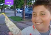 Picada o truco: en Santa Fe un niño recibió una morcilla y un salame en un Halloween bien argento