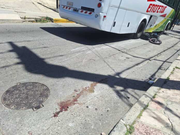 585555854_10240085031891812_1800123074099653343_n