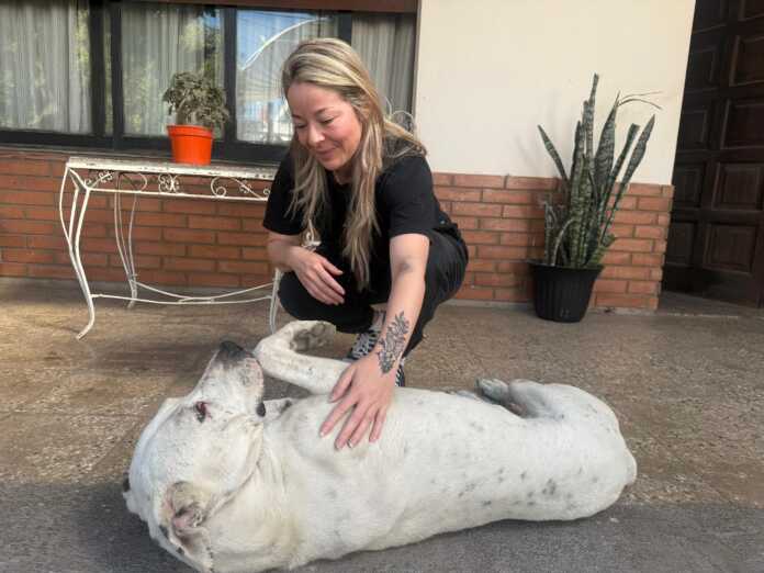 Imagen de WhatsApp 2025-11-27 a las 09.36.58_22fed10a