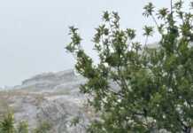 ¡Sorpresa!: La nieve también cae en noviembre en Córdoba (Video)