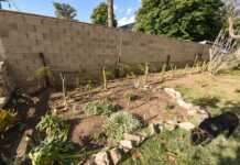 Denuncian en La Falda a un hombre por arrojar agroquímicos sobre la vivienda de sus vecinas