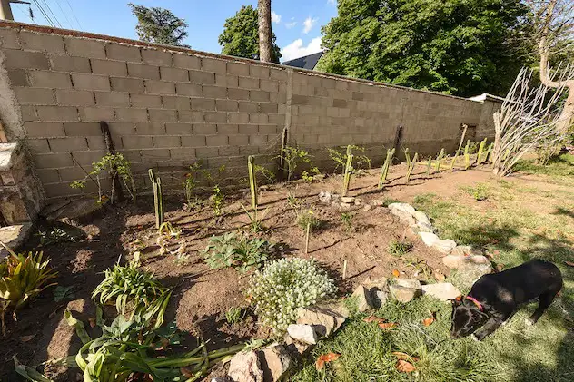 WhatsApp Image 2025-11-08 at 21.48.04