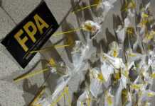 Coctel drogas: Secuestraron éxtasis, tussi, LSD, marihuana y cocaína en una fiesta electónica