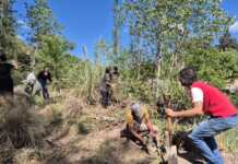 Vecinos y especialistas participaron de una nueva jornada de limpieza en el río de Icho Cruz