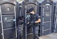 Megaoperativo en Córdoba: Secuestraron drogas de diseño en una fiesta electrónica