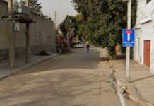 Córdoba: un perro apareció con una bolsa con huesos e investigan si son humanos