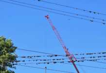 Guerra de grúas en Carlos Paz