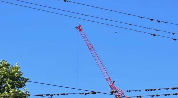 Guerra de grúas en Carlos Paz