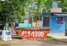 Conmoción en Mar del Plata: una mujer envenenó a decenas de perros y murió tras ingerir el veneno