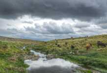 Cuánto llovió en el Valle de Punilla y las sierras: ¿crecerán los ríos?