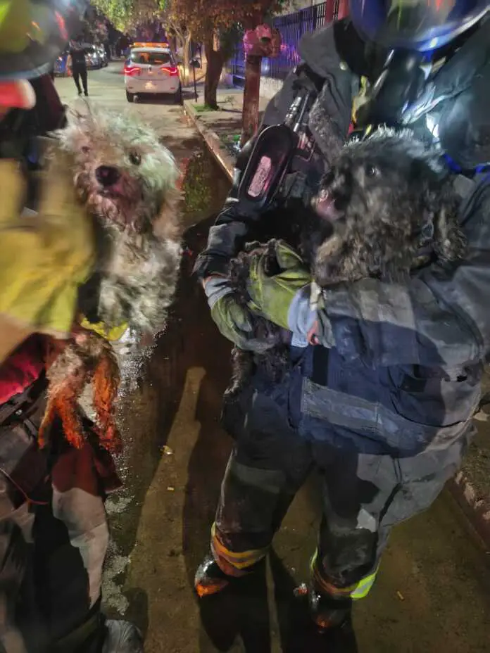 WhatsApp Image 2025-12-23 at 08.43.09