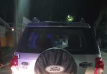 Manejaba alcoholizada y causó disturbios con la Policía: fue detenida