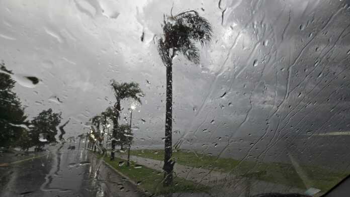 WhatsApp Image 2025-12-25 at 09.11.30