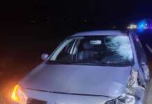 Un hombre intentó cruzar la Autovía Punilla, fue atropellado y murió