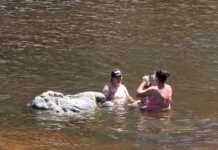 Ola de calor: a cuánto llegará la temperatura esta semana en Carlos Paz y Punilla