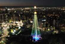 Córdoba encendió su árbol de Navidad, uno de los más grandes de Sudamérica