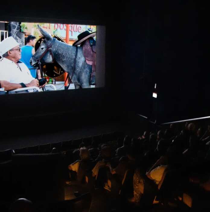 bienvenidosacarlospaz10101