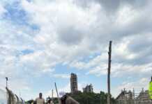 Reforestación y compromiso ambiental en Malagueño: plantaron 150 especies de árboles nativos