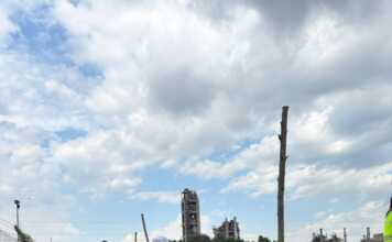 Reforestación y compromiso ambiental en Malagueño: plantaron 150 especies de árboles nativos