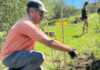 El Cerro La Cruz suma más árboles nativos en una jornada comunitaria