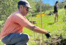 El Cerro La Cruz suma más árboles nativos en una jornada comunitaria