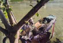 Hospital Sayago: Detuvieron a un hombre que agredía a policías y había robado en un barrio momentos antes