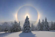 Crónicas Culturales hará el Festival del Solsticio en la biblioteca este sábado