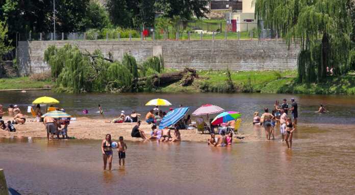 Playas-de-oro-11-01-26 (13)