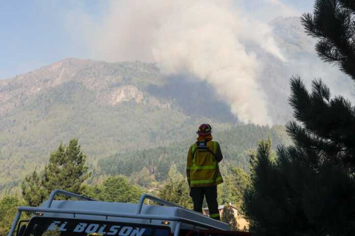 WhatsApp Image 2026-01-08 at 17.52.01