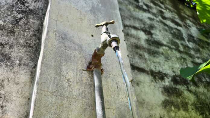 WhatsApp Image 2026-01-10 at 15.32.06