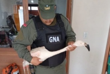 WhatsApp Image 2026-01-11 at 12.27.28