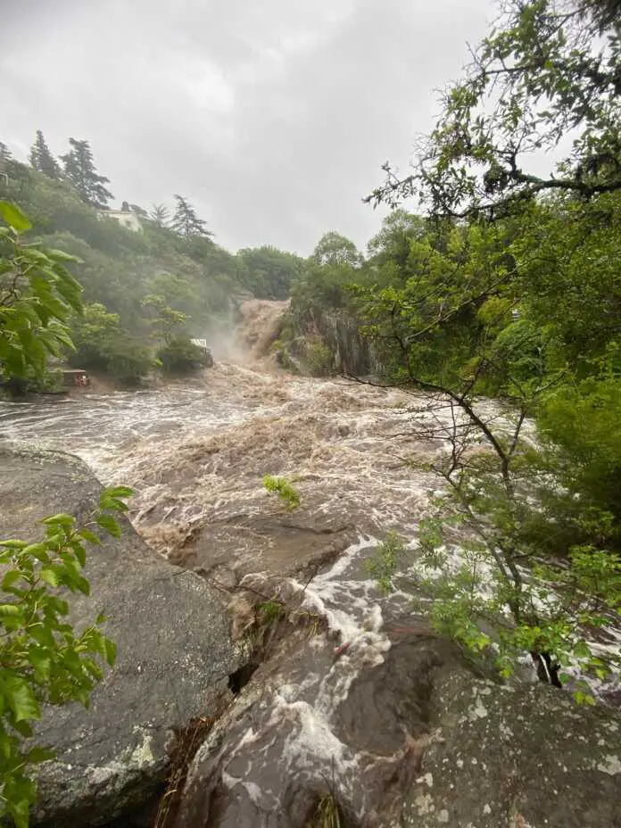 WhatsApp Image 2026-01-13 at 16.53.04