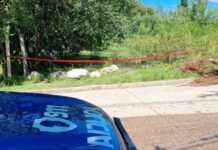 Droga para dormirla y bolsas de consorcio: los detalles del horror que vivió Tania Suárez