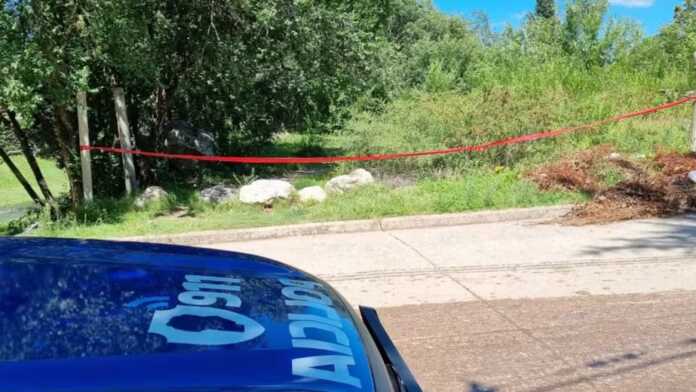 WhatsApp Image 2026-01-15 at 10.11.59