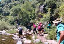 Rescataron a un hombre que se accidentó mientras hacía trekking en Río Ceballos
