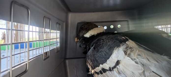 WhatsApp Image 2026-01-24 at 08.00.28