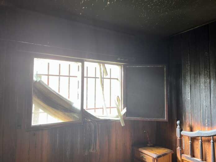 WhatsApp Image 2026-01-24 at 21.02.04