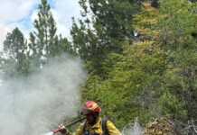 Emergencia en la Patagonia: El fuego ya arrasó 230 mil hectáreas y los gobernadores exigen fondos a Nación