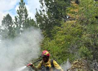 Emergencia en la Patagonia: El fuego ya arrasó 230 mil hectáreas y los gobernadores exigen fondos a Nación