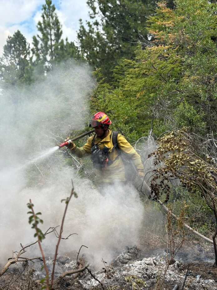 WhatsApp Image 2026-01-28 at 12.36.29