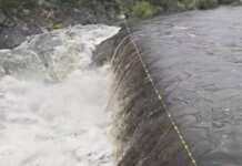 Video: Tras las lluvias, ingresó una creciente de 3,5 metros en Cuesta Blanca