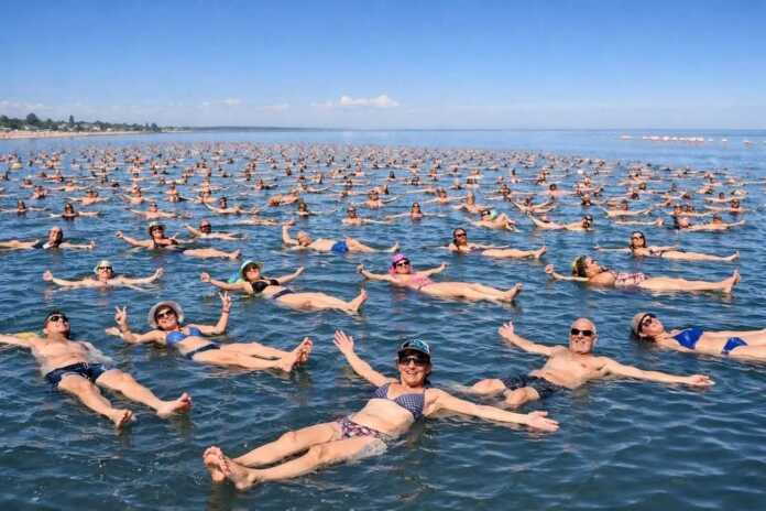 festival de la planchita