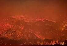 Tras la presión patagónica, el Gobierno Nacional declara la Emergencia Ígnea por DNU