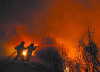 Desastre ambiental en la Patagonia: El fuego ya arrasó 230 mil hectáreas y los gobernadores exigen fondos a Nación