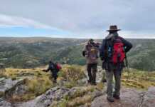 Parque Nacional Quebrada del Condorito: Cuáles son los sectores que ya se pueden visitar después del incendio