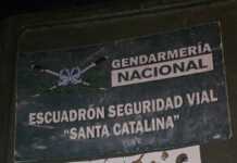 Gendarmería incautó hongos alucinógenos y un arma de fuego