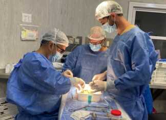 Córdoba fortaleció la donación de órganos y tejidos durante 2025