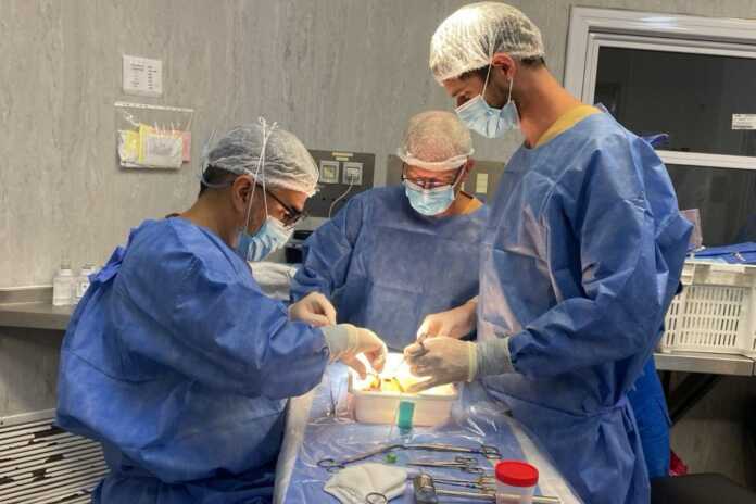 WhatsApp Image 2026-02-03 at 10.27.46