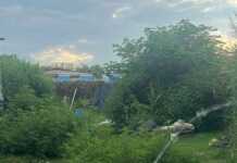 La marihuana creció y se veía desde afuera: secuestraron más de 120 plantas en una casa de Córdoba