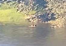 Video: Así rescataron a un hombre que se ahogaba en El Fantasio